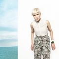 060patriciasettin-limitess14004